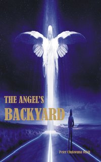 The Angel's Backyard - Peter Chukwuma Odoh - ebook