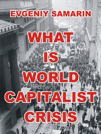 What Is World Capitalist Crisis - Evgeniy Samarin - ebook