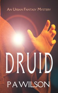 Druid - P A Wilson - ebook