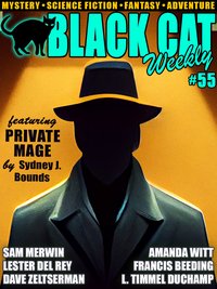 Black Cat Weekly #55 - Wildside Press - ebook