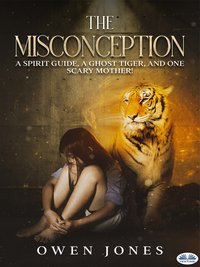 The Misconception - Owen Jones - ebook