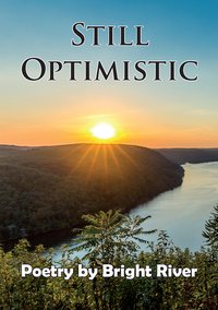 Still Optimistic - Bright River - ebook
