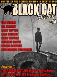 Black Cat Weekly #14 - Barb Goffman - ebook