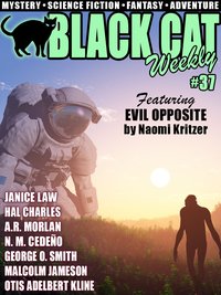 Black Cat Weekly #37 - Naomi Kritzer - ebook