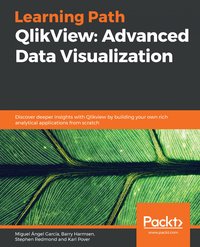 QlikView: Advanced Data Visualization - Miguel  Ángel García - ebook