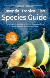 Essential Tropical Fish - Anne Finlay - ebook