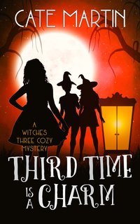 Third Time is a Charm - Cate Martin - ebook
