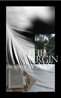 The Virgin Ways - Hinal Rathod - ebook