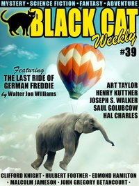 Black Cat Weekly #39 - Wildside Press - ebook
