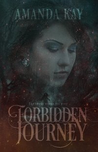 Forbidden Journey - Kay Amanda - ebook