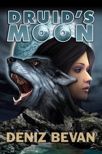 Druid's Moon - Deniz Bevan - ebook