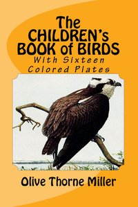 The Children's Book of Birds - Olive Thorne Miller - ebook
