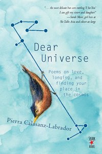 Dear Universe - Pierra Calasanz-Labrador - ebook