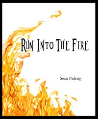 Run Into The Fire - Sean Padraig - ebook