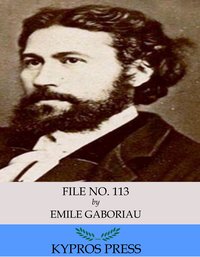 File No. 113 - Emile Gaboriau - ebook