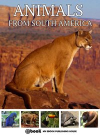 Animals from South America - My Ebook Publishing House - ebook