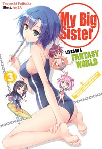 My Big Sister Lives in a Fantasy World: Volume 3 - Tsuyoshi Fujitaka - ebook
