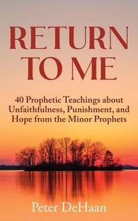 Return to Me - Peter DeHaan - ebook