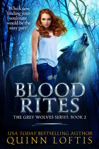 Blood Rites - Quinn Loftis - ebook