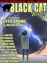 Black Cat Weekly #51 - Michael Bracken - ebook