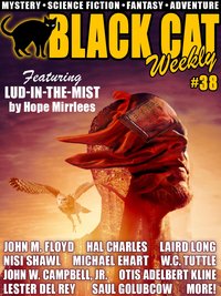 Black Cat Weekly #38 - Laird Long - ebook