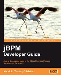 jBPM Developer Guide - Mauricio "Salaboy" Salatino - ebook