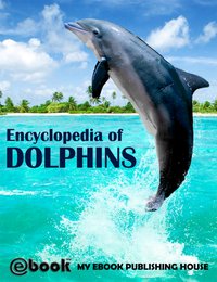 Encyclopedia of Dolphins - My Ebook Publishing House - ebook