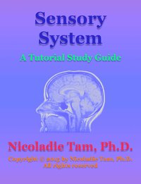 Sensory System: A Tutorial Study Guide - Nicoladie Tam - ebook