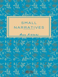 Small Narratives - Anna Ferrari - ebook