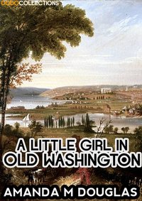 A Little Girl in Old Washington - Amanda M Douglas - ebook
