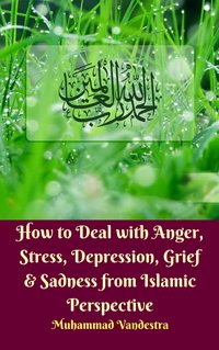 How to Deal with Anger, Stress, Depression, Grief & Sadness from Islamic Perspective - Muhammad Vandestra - ebook