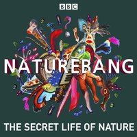 NatureBang - Becky Ripley - audiobook