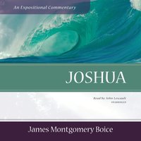 Joshua - James Montgomery Boice - audiobook