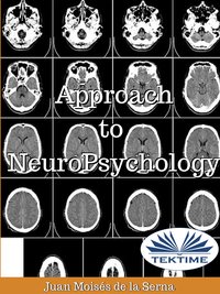 Approach To Neuropsychology - Juan Moisés   De La Serna - ebook