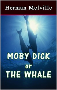 Moby Dick or The Whale - Herman Melville - ebook