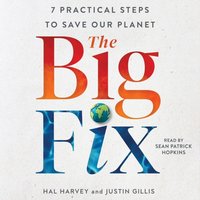 Big Fix - Hal Harvey - audiobook