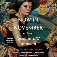 Now in November - Josephine Johnson - audiobook