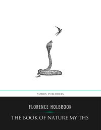 The Book of Nature Myths - Florence Holbrook - ebook