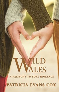 Wild Wales - Patricia Evans Cox - ebook