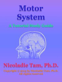 Motor System: A Tutorial Study Guide - Nicoladie Tam - ebook
