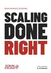 Scaling Done Right - Gereon Hermkes - ebook