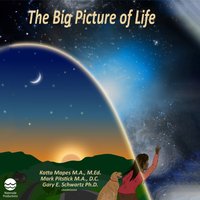 Big Picture of Life - Katta Mapes - audiobook