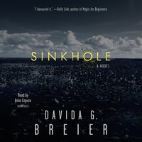 Sinkhole - Davida G. Breier - audiobook
