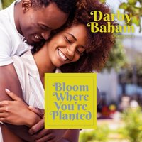 Bloom Where You're Planted - Darby Baham - audiobook