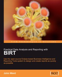 Practical Data Analysis and Reporting with BIRT - John Ward - ebook