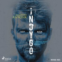 Indygo - Agnieszka Antosik - audiobook