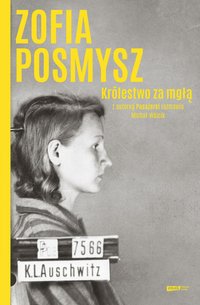 Królestwo za mgłą - Michał Wójcik - ebook