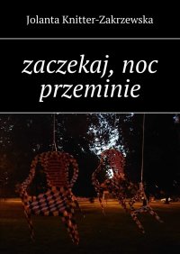 Zaczekaj, noc przeminie - Jolanta Knitter-Zakrzewska - ebook