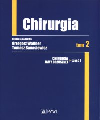 Chirurgia. Tom 2 - Grzegorz Wallner - ebook
