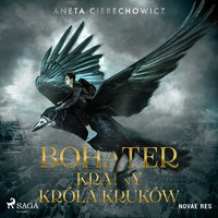 Bohater Krainy Króla Kruków - Aneta Cierechowicz - audiobook